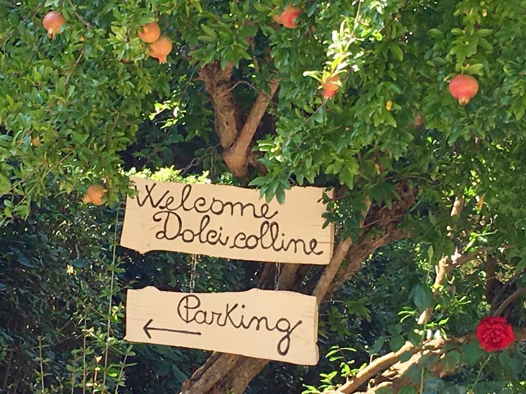 Borgo Dolci Colline Villa Castiglion Fiorentino Kültér fotó